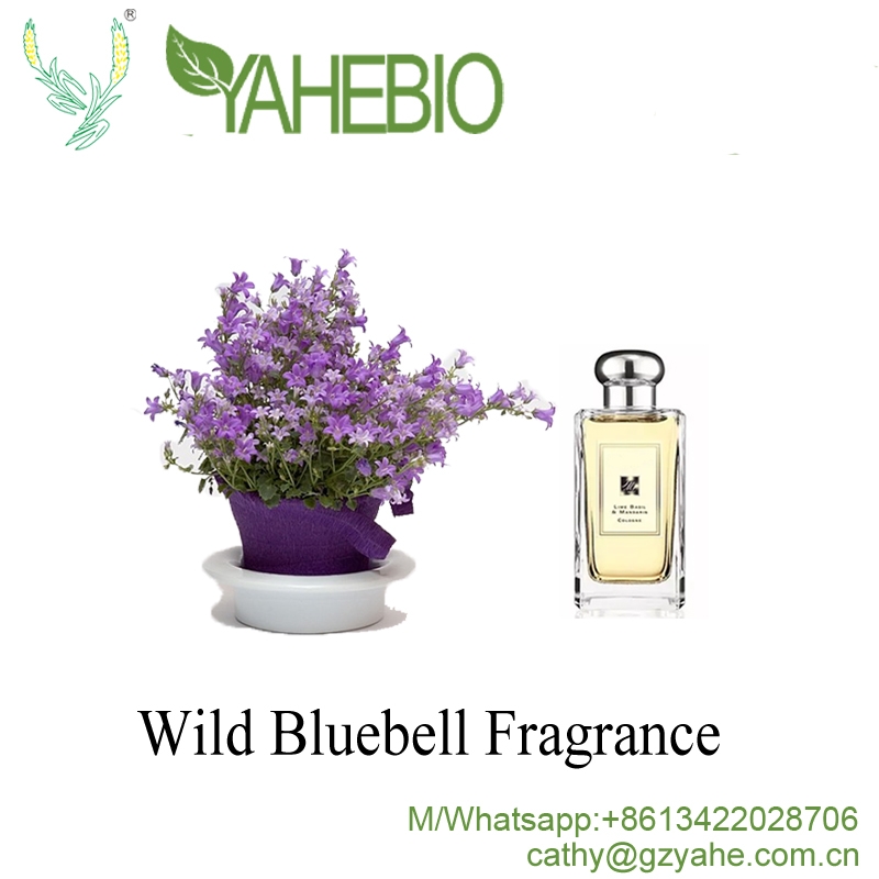 Parfum bermerek yang tahan lama Minyak aroma Wild Bluebell untuk pembuatan parfum