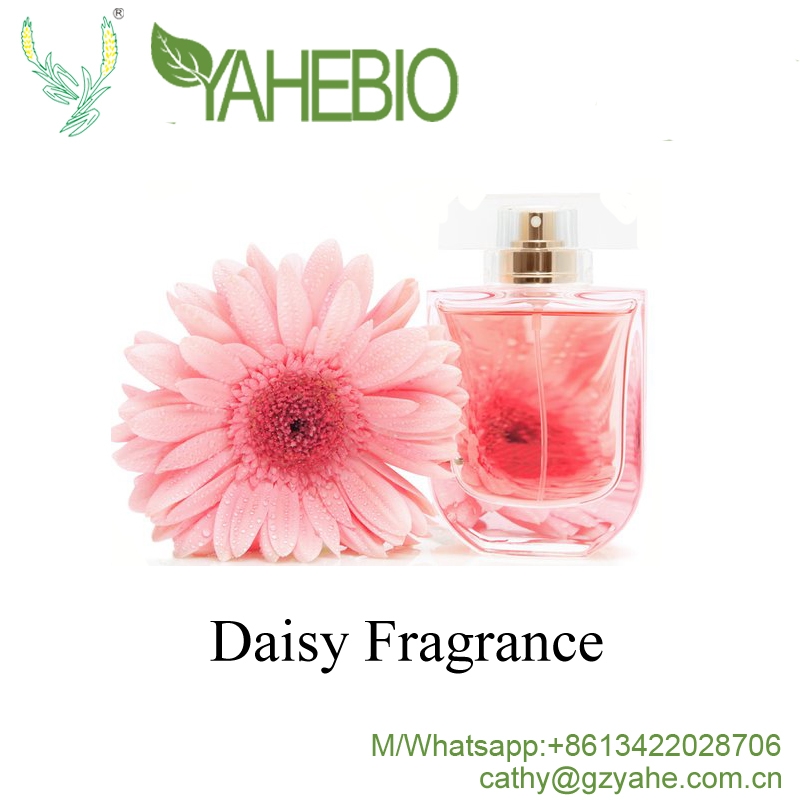 Wewangian daisy berkualitas tinggi untuk parfum mewah bermerek
