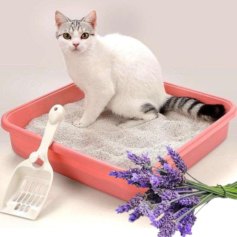 pabrik grosir aroma lavender untuk produk hewan peliharaan kotak pasir pasir kucing
