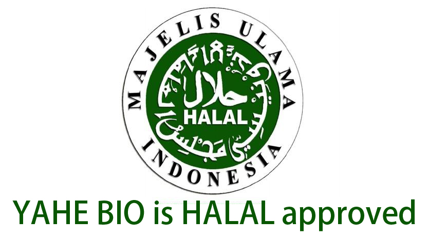 2020-2010 YAHE HALAL Certificate